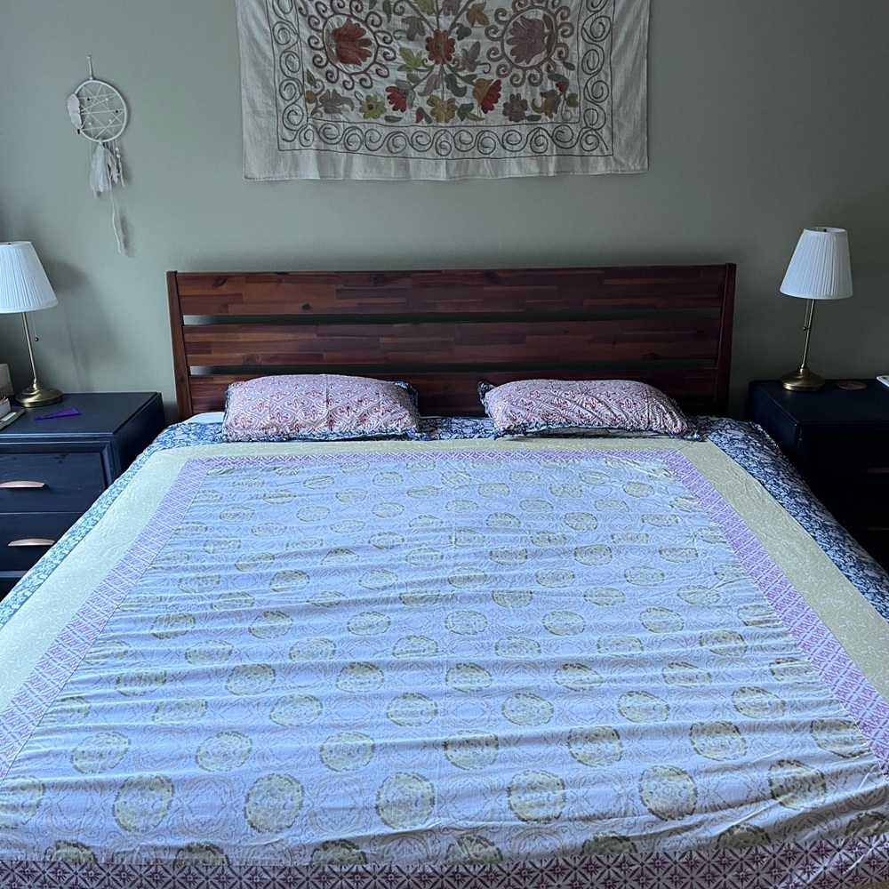 Anthropologie Meguro Queen Duvet cover with pillow shams